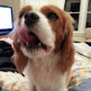 Meet your Posher, Candace